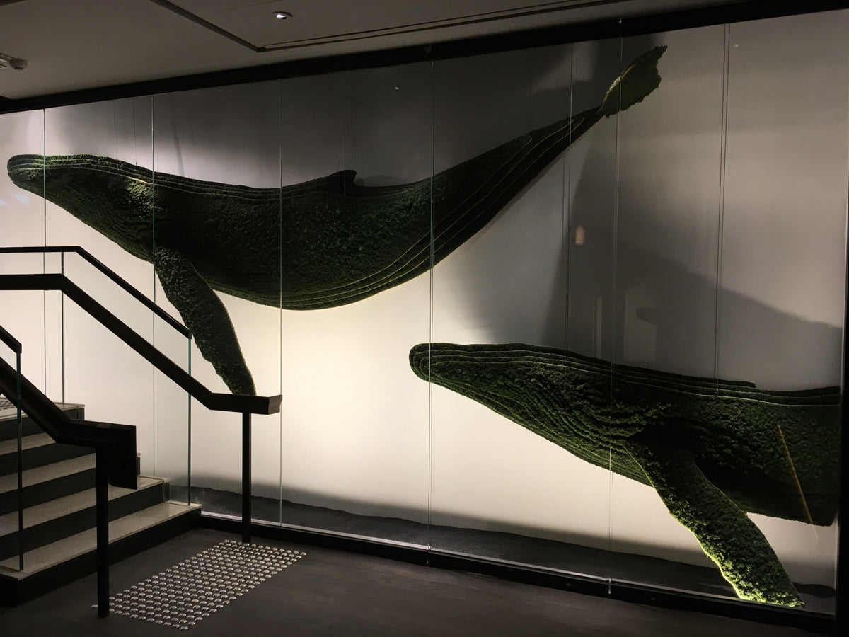 OCEAN PARK MARRIOTT
