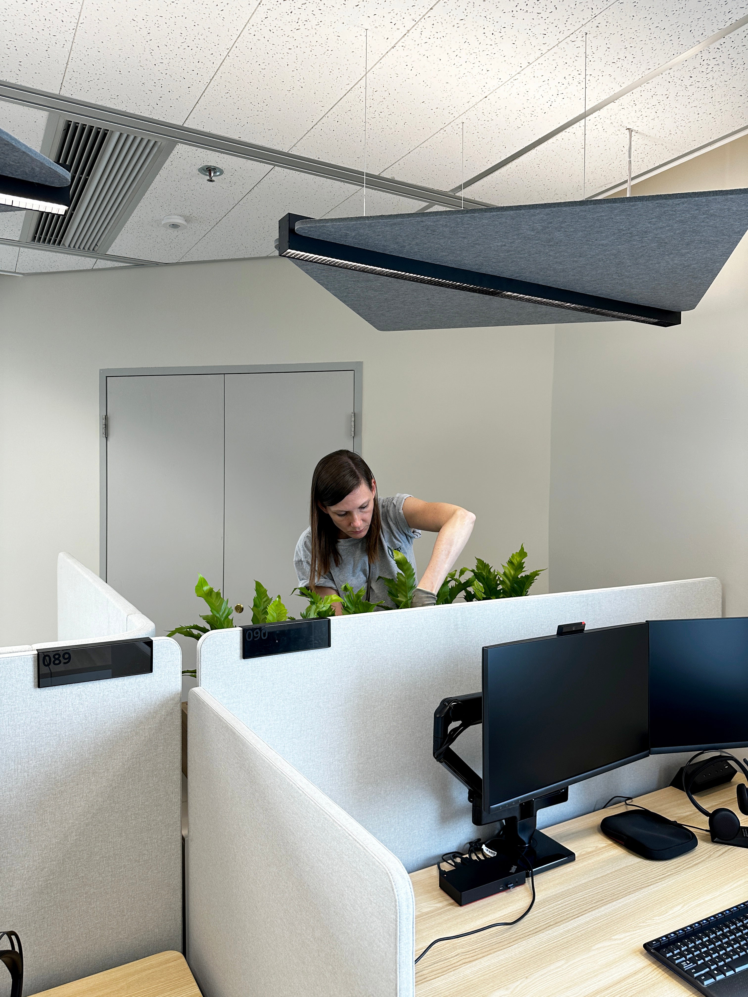 Person working at a desk with computer monitors and plants in an office setting