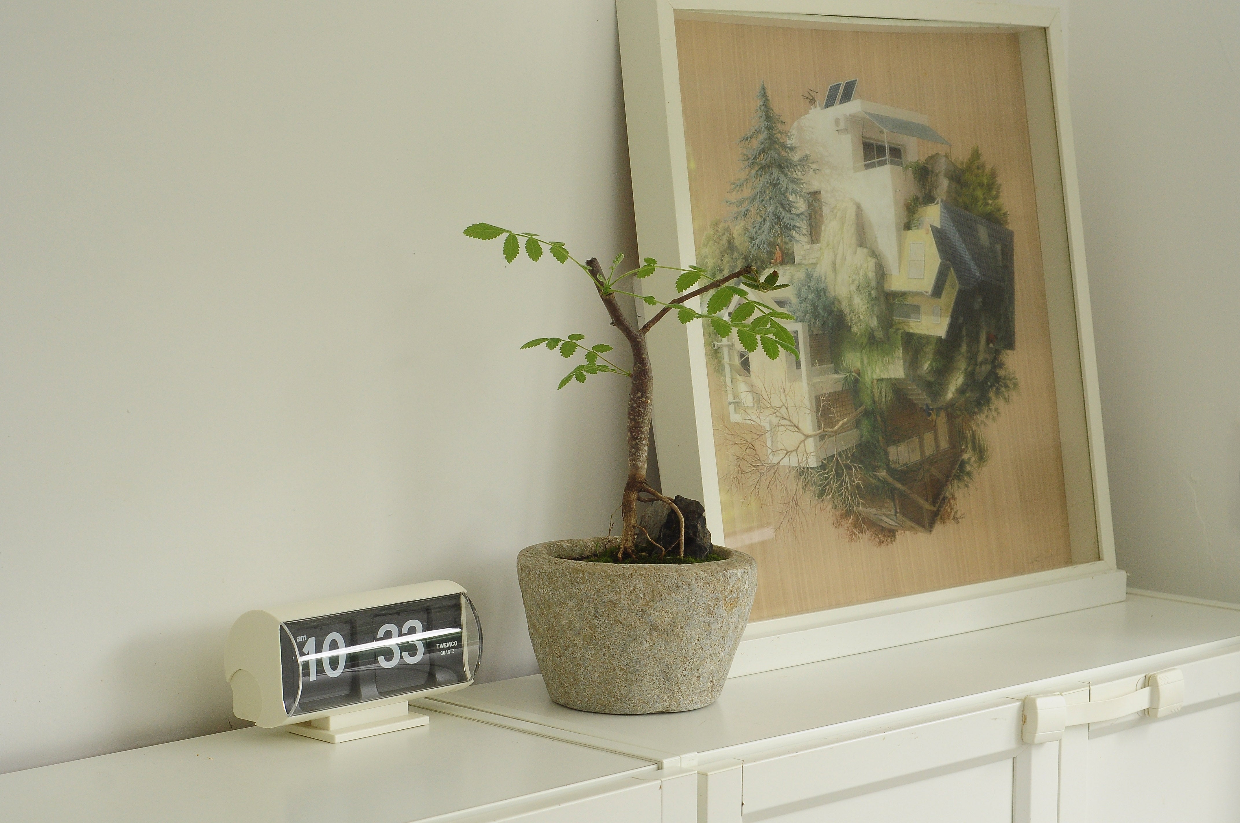 POTS, PLANTERS & ACCESSORIES – Quest Plant