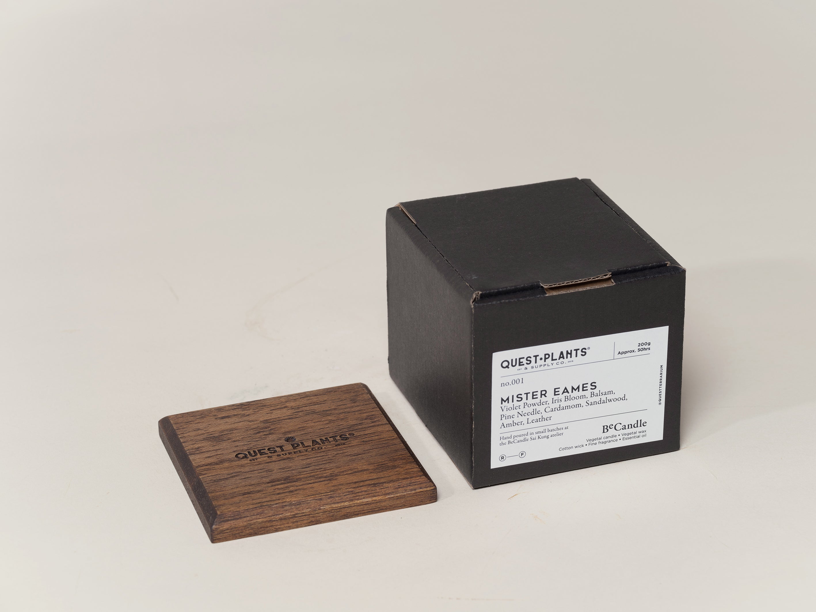 QUEST PLANT 'Mister Eames' Candle by Be Candle
