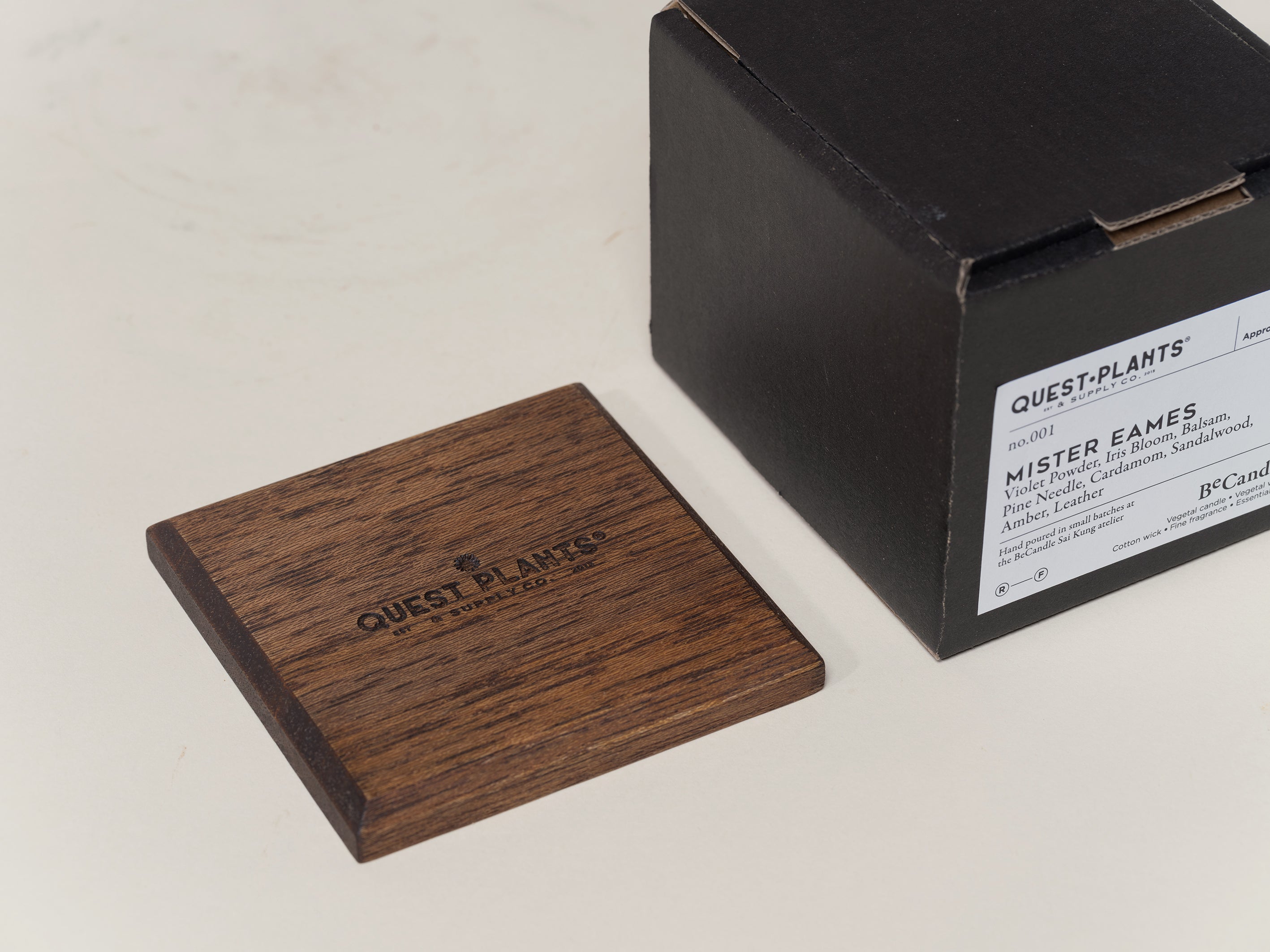 QUEST PLANT 'Mister Eames' Candle by Be Candle