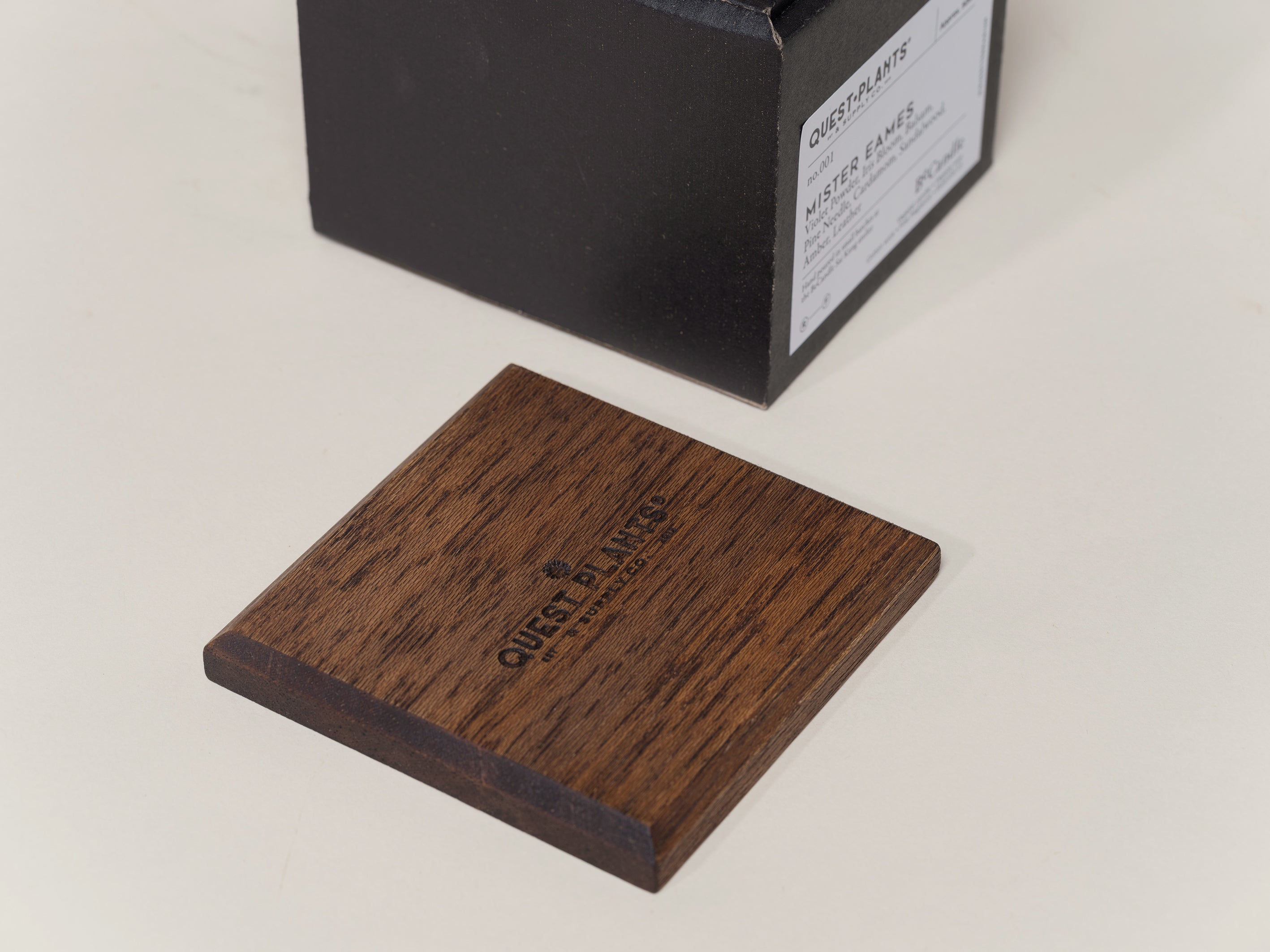 QUEST PLANT 'Mister Eames' Candle by Be Candle