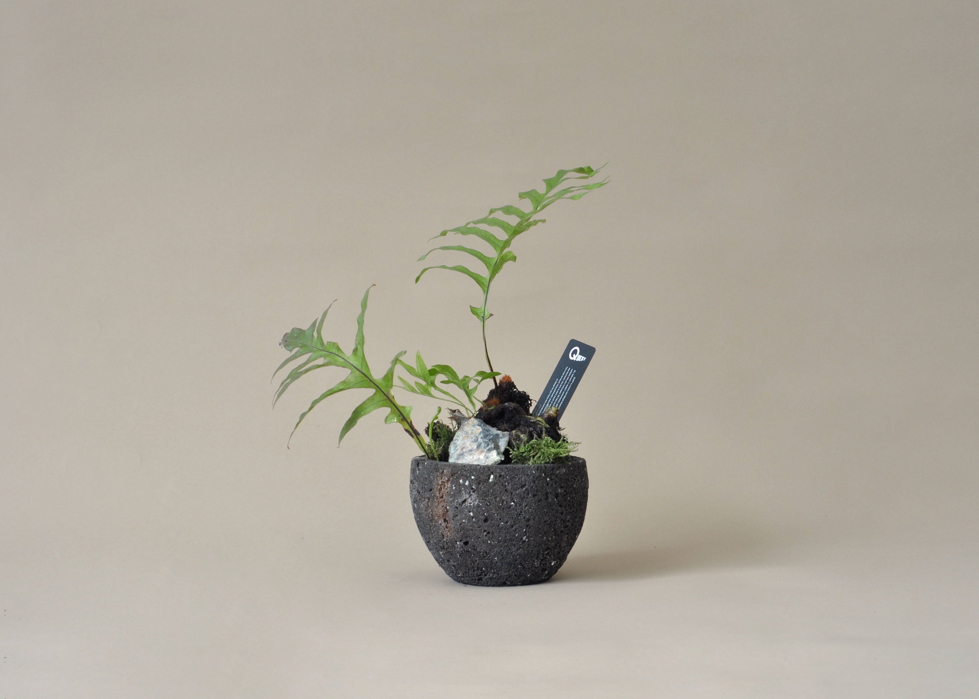 Volcano Planter