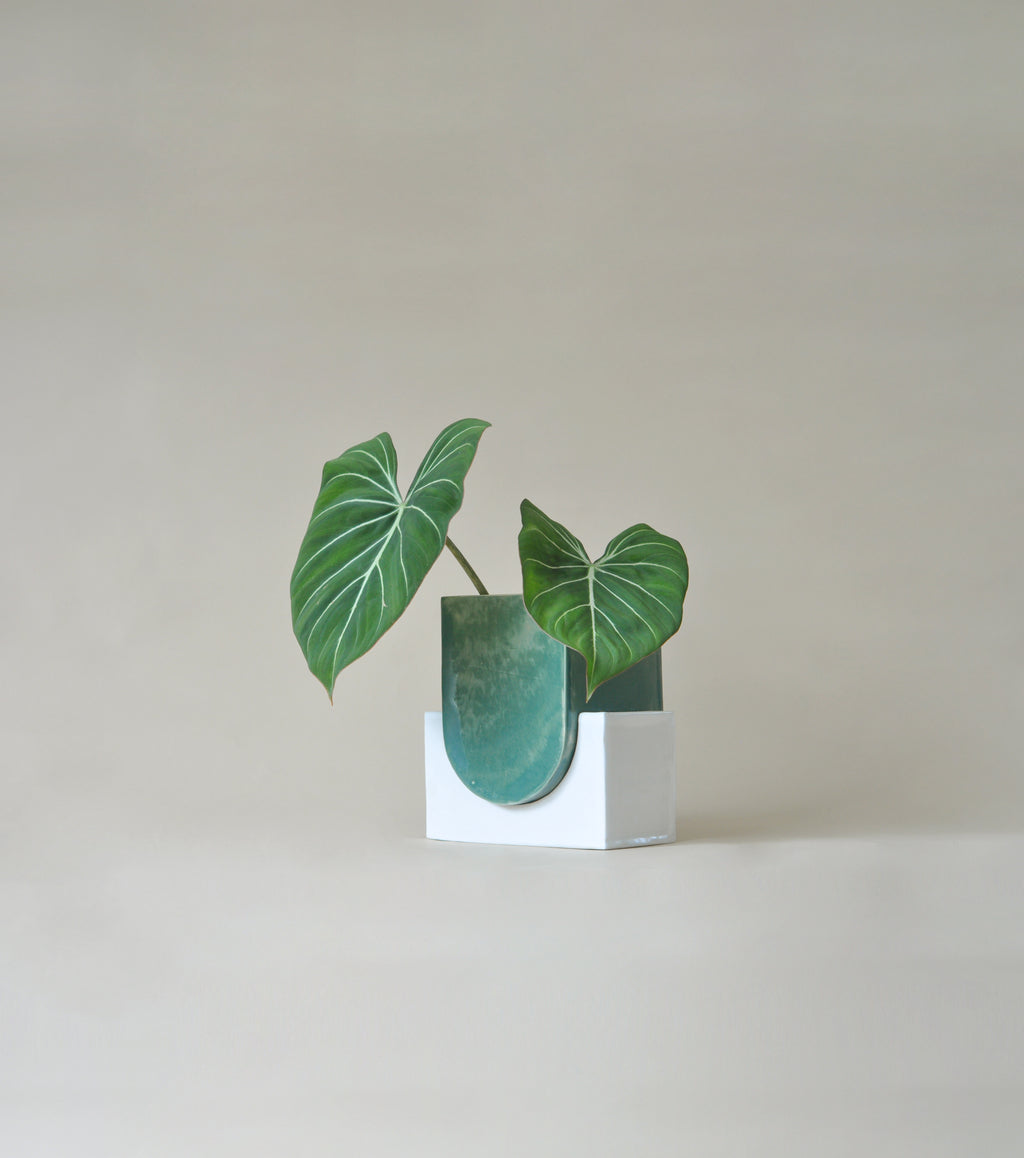 Mceramics Design - Turquoise