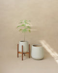 Dune Pot modern ceramic plant pot in Hong Kong. Mid-century inspired plant pot for indoor plants in Hong Kong