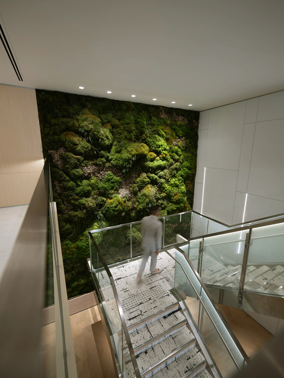 MOSS FEATURES – Quest Plant