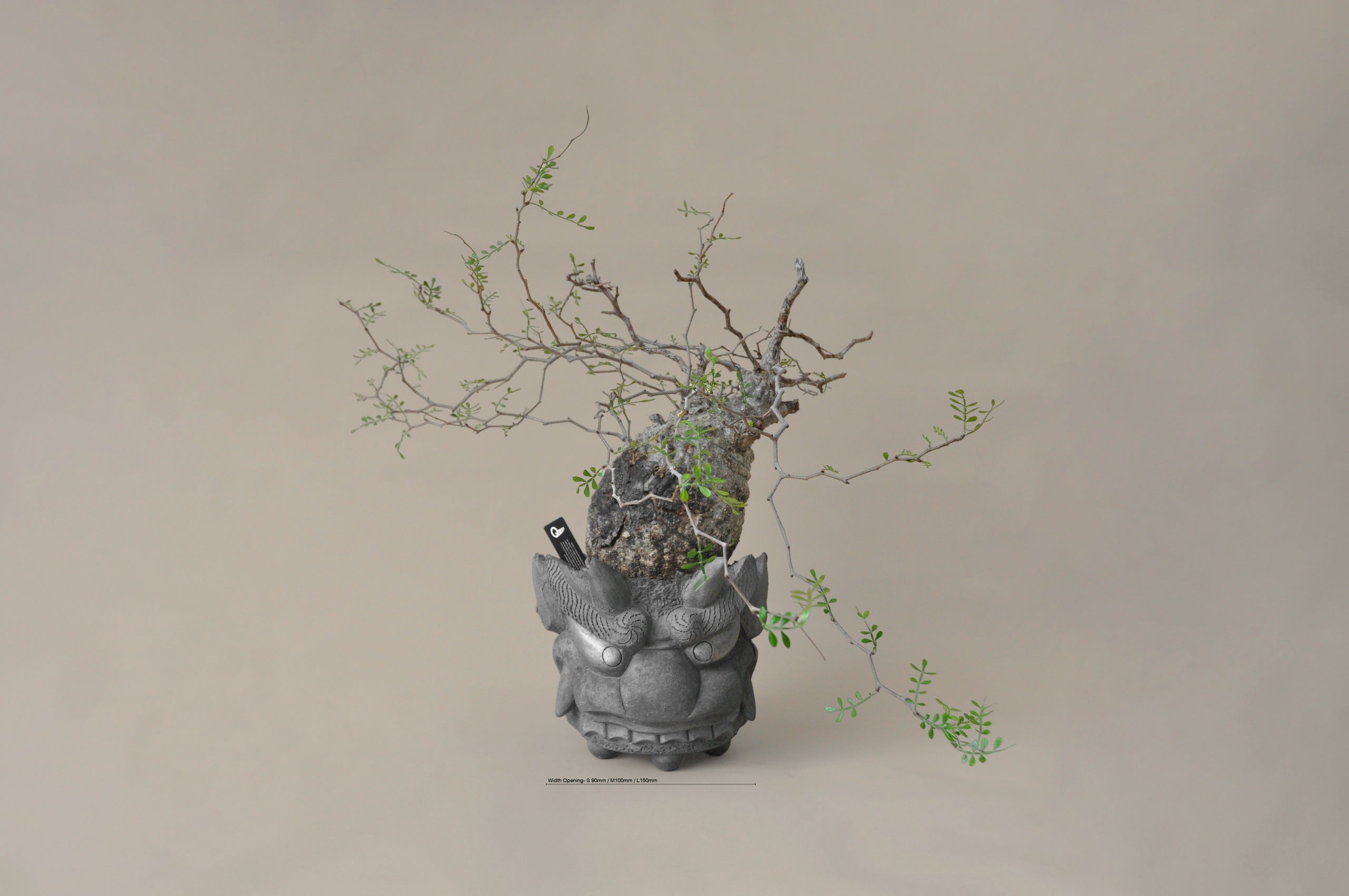 japanese indoor plant pots ONIGAWARA