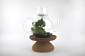 Glass terrarium with a small tree on a wooden stand against a white background