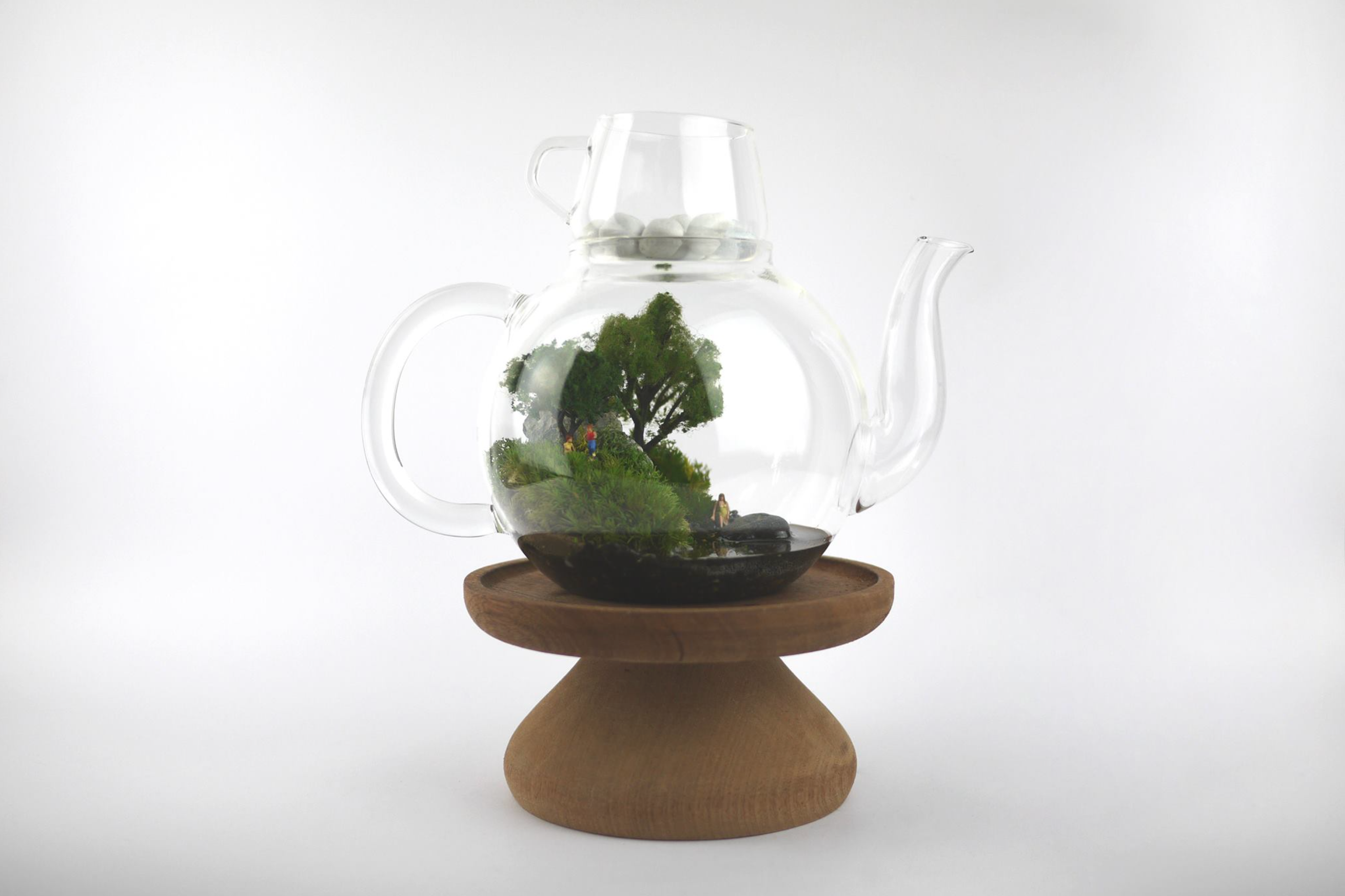 Custom Moss Terrariums and Art Pieces