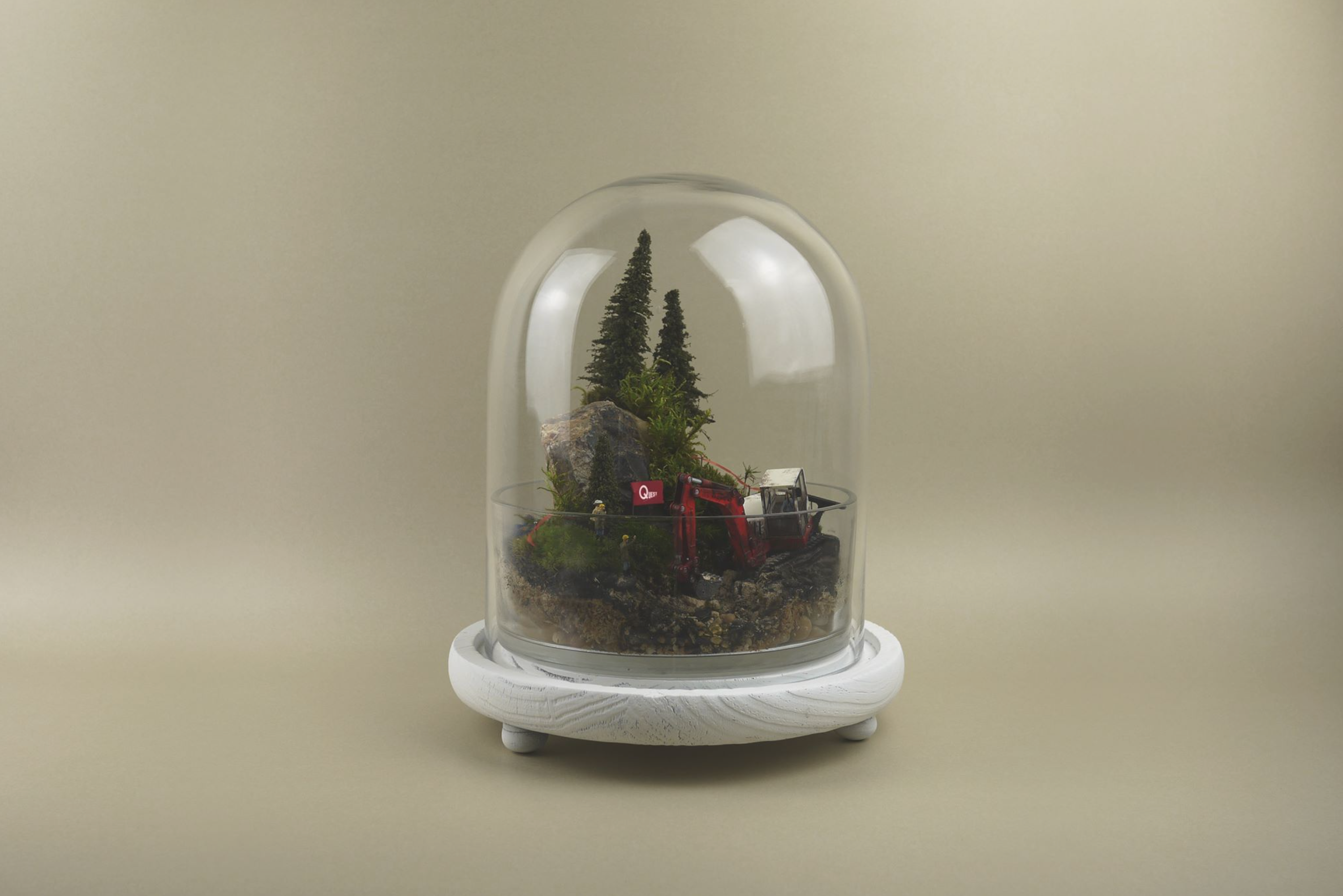 Medium Moss Terrarium Art Piece