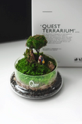 Terrarium with miniature landscape and 'Quest Terrarium' packaging in the background