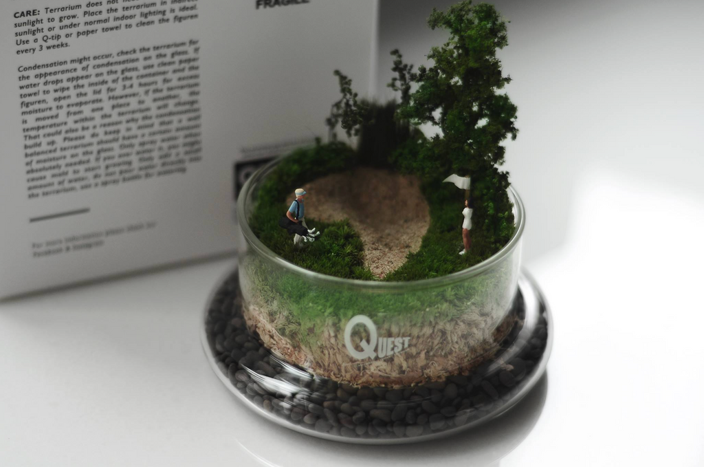 Medium Moss Terrarium Art Piece