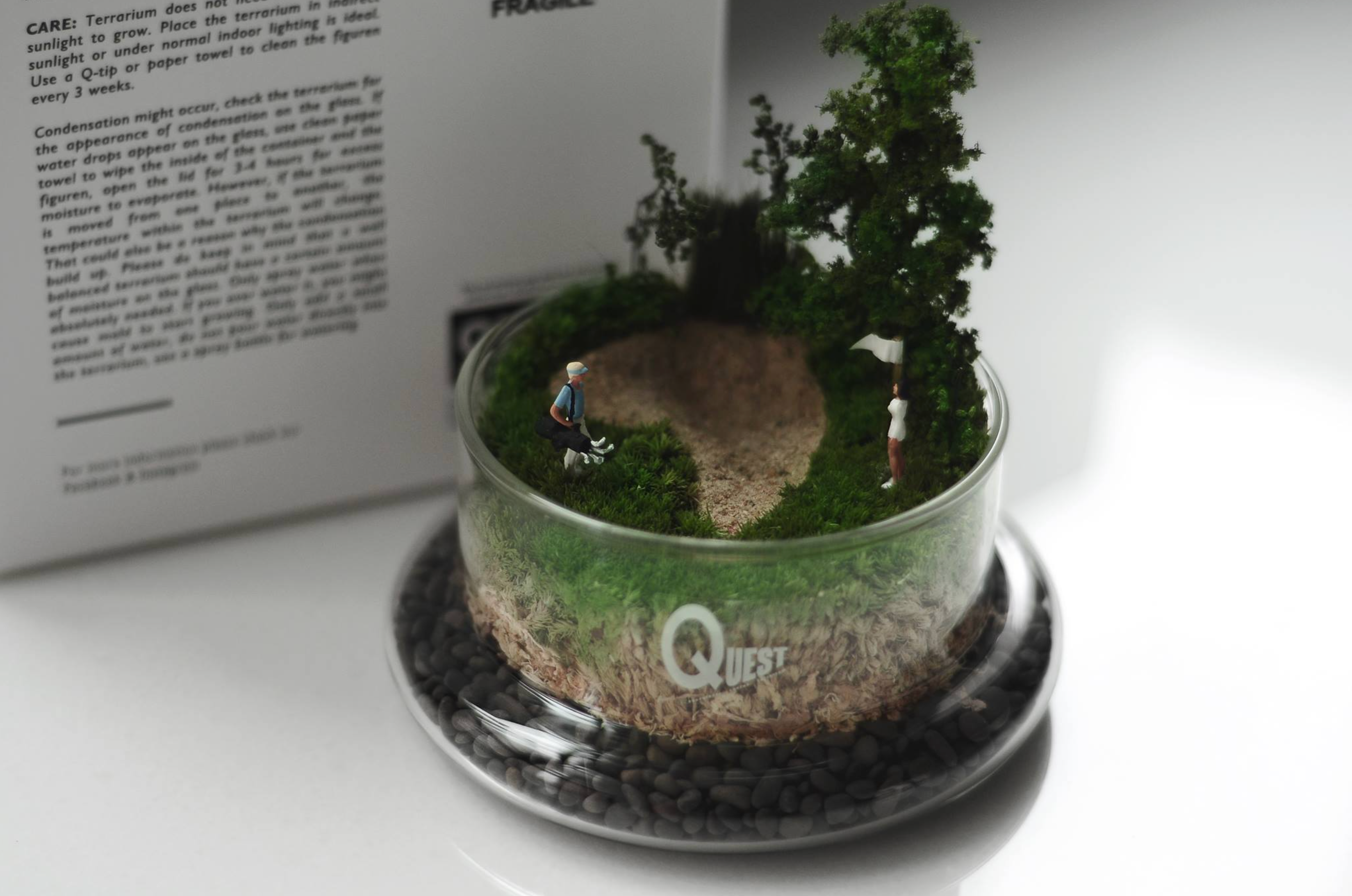 Medium Moss Terrarium Art Piece