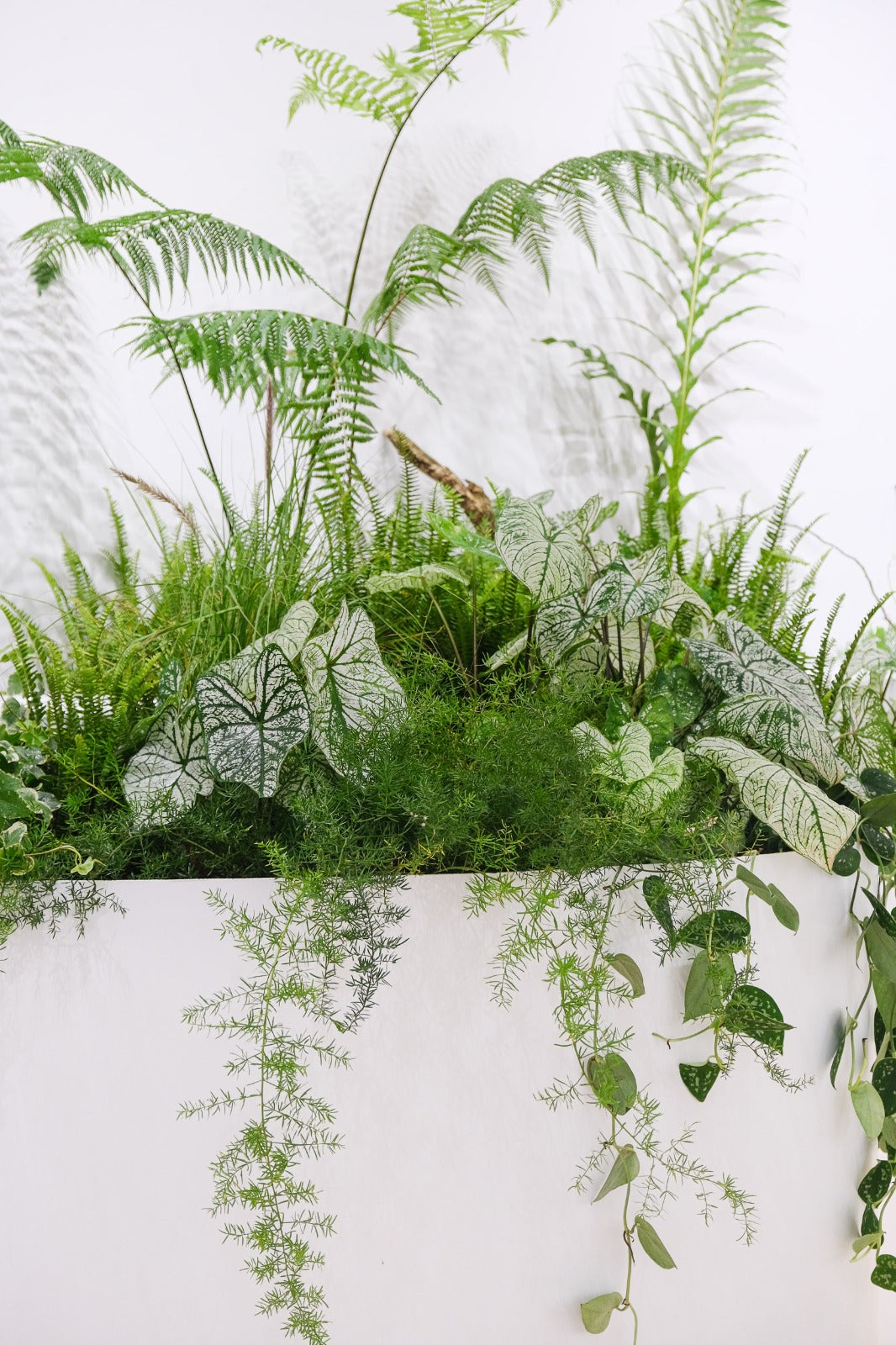 Plant dressing at the Urlandschaft gallery show enhancing the exhibition environment with natural elements.
