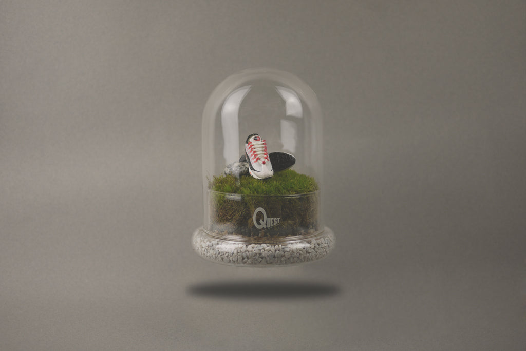Sneakerhead Terrarium Art Piece