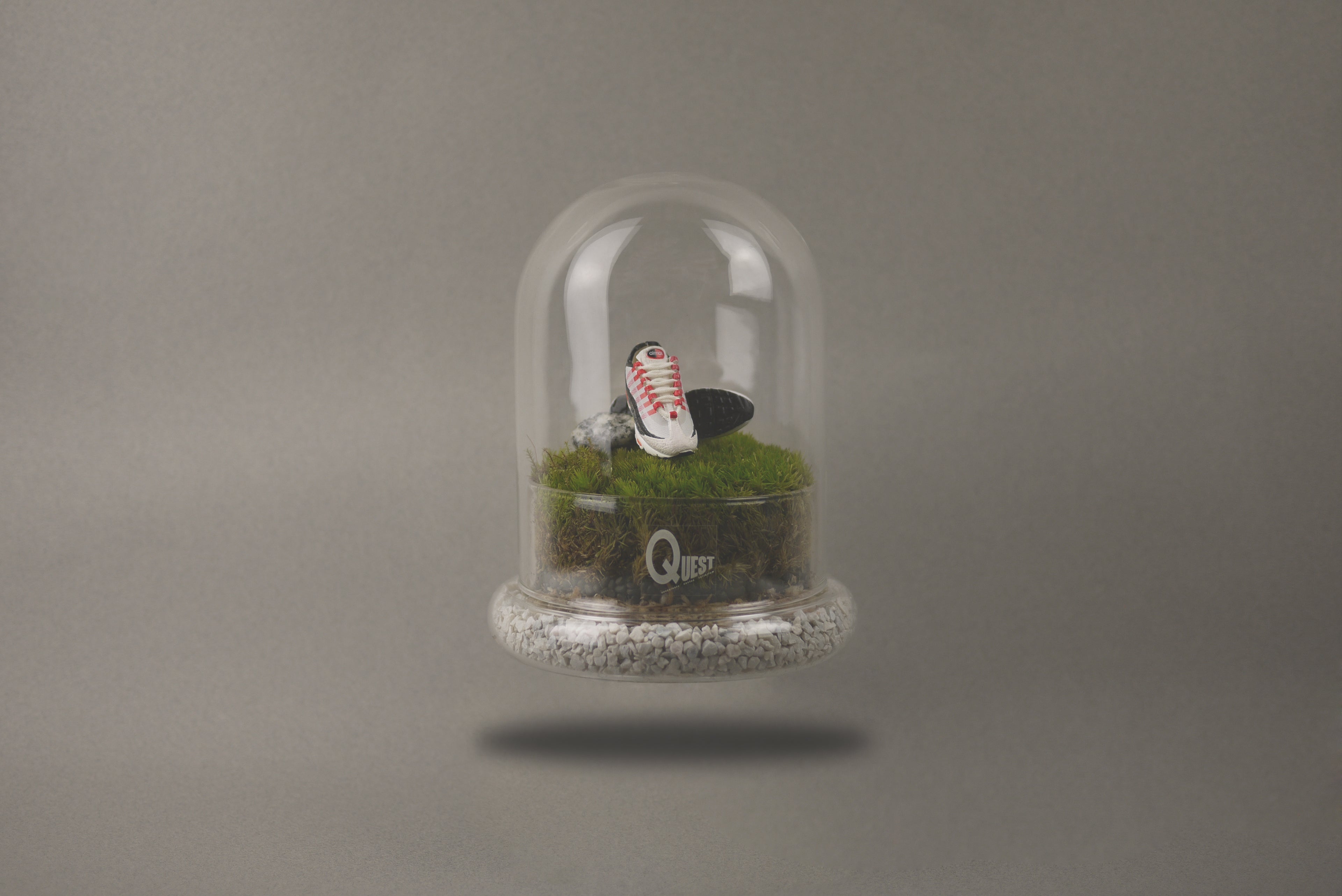 Sneakerhead Terrarium Art Piece