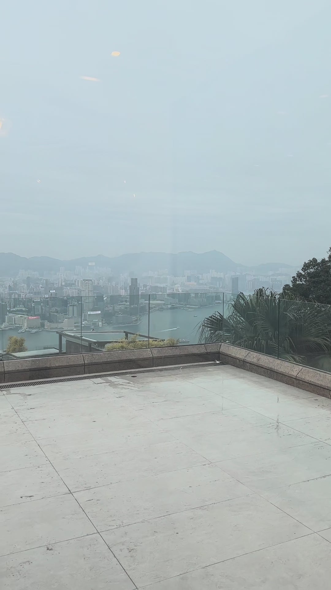 Consultation Service